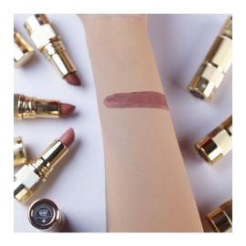 SoftBurnt Matte Makeup Holding lipstick 3g - G107