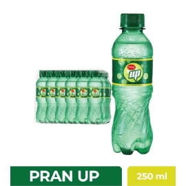 PRAN UP (Pet) 250ml