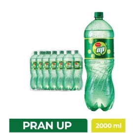 PRAN Up (Pet) 2000ml without CP