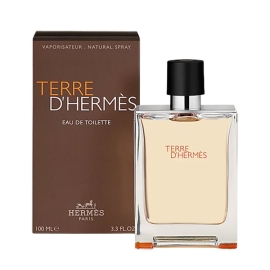 Hermes Terre D'hermes EDT 100ML for Men