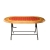 Dining Table 6 Seat Elegant S/L Printed Cushion SW
