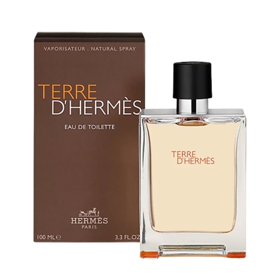 Hermes Terre D'hermes EDT 100ML for Men